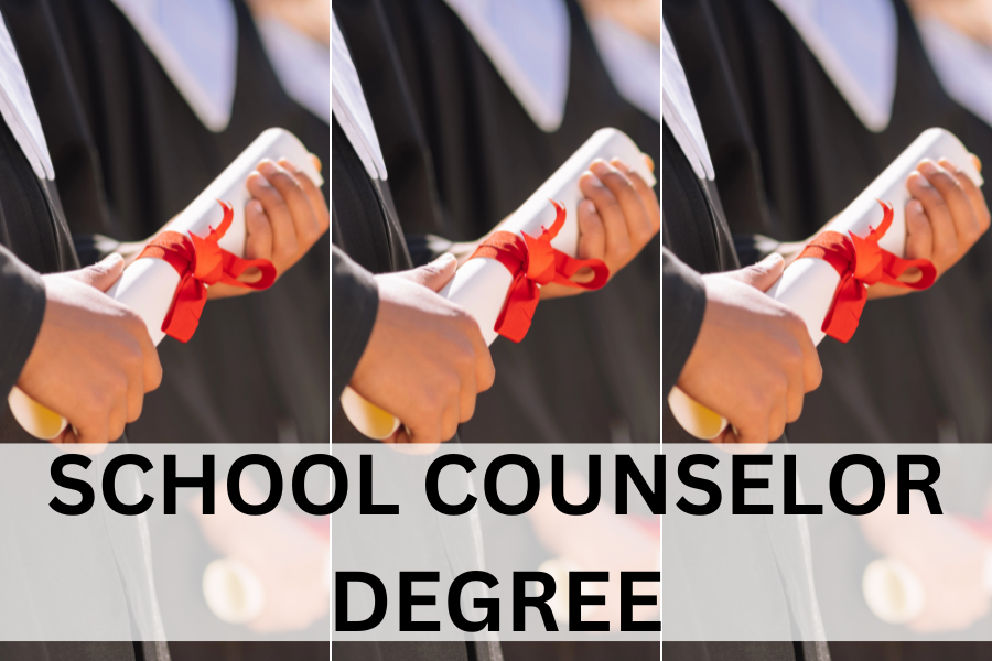 school counselor degree